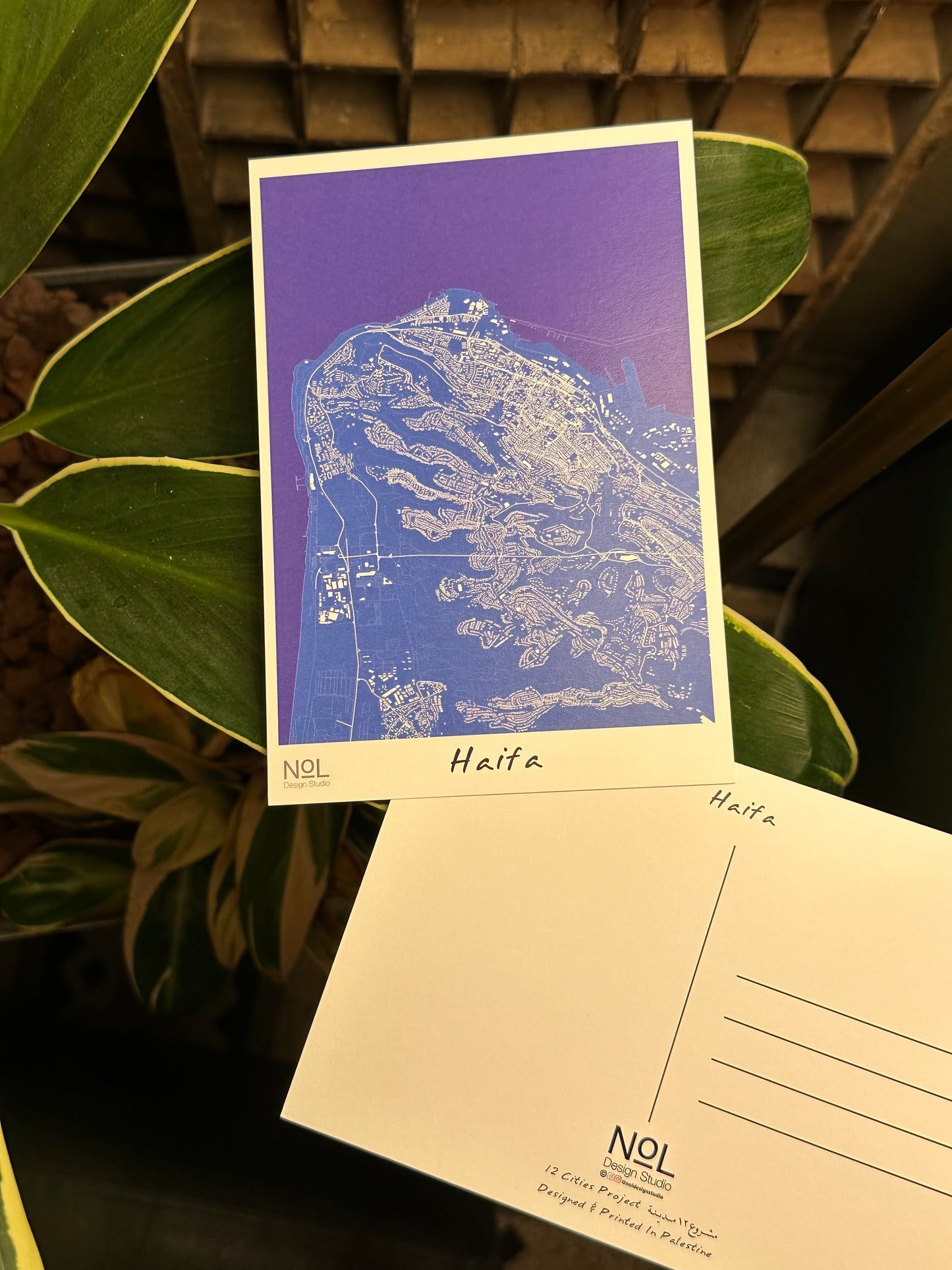 Wadi Nisnas Postcard