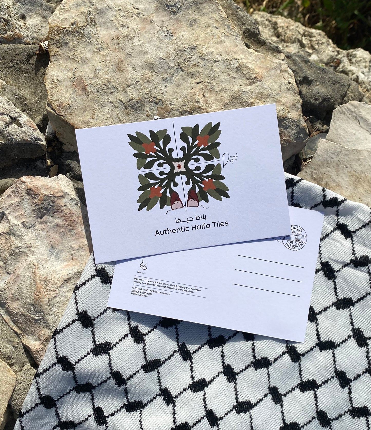 Pomegranate Roots Postcard