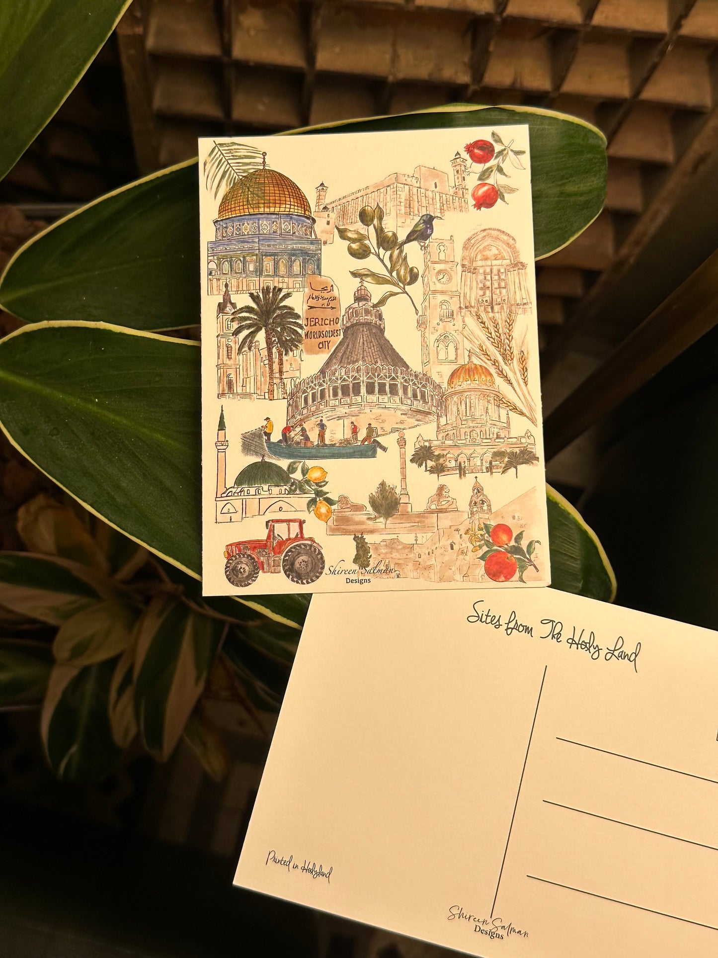 Wadi Nisnas Postcard