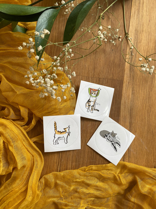 The Pali Cats Stickers