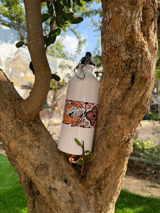 Steps Of Haifa Stainless Steel Water Bottle with carabiner lid