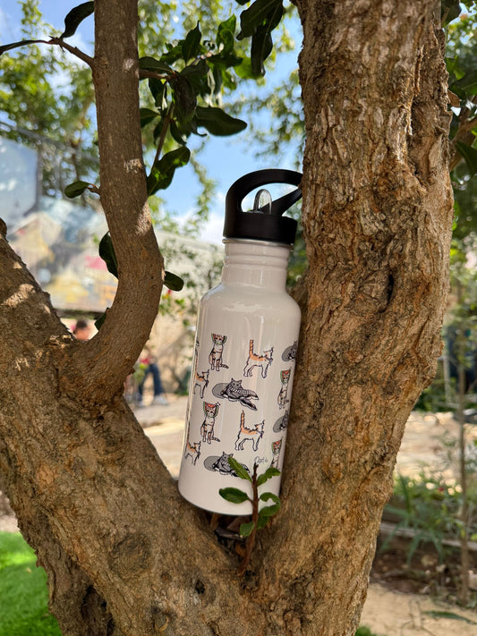 Pali cats Stainless Steel Water Bottle with straw lid